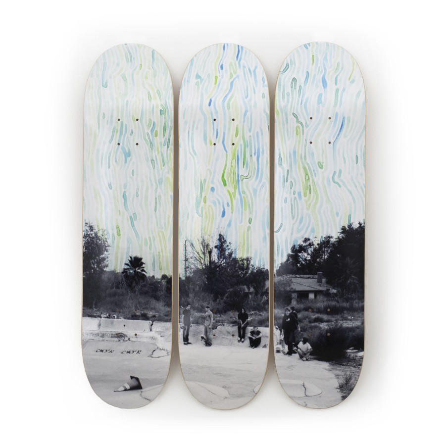 Ed-Templeton-Skateboards ed-templeton-skateboards | We Thrive In The Wastelands, Norco, Hand-Signed - Ed Templeton X The Skateroom